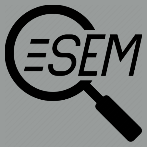 search engine marketing services aka sem services